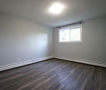 Gorgeous Opportunity! Fully Renovated 2 Bedroom Apartment, CATS OK! - Photo 1