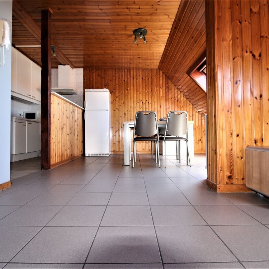 Leuk dakappartement met 1 slaapkamer en autostaanplaats - Photo 1