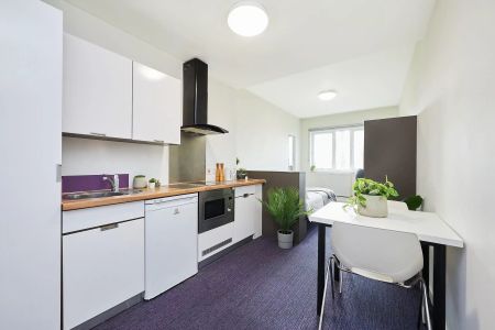 Self Contained Studio - Photo 5