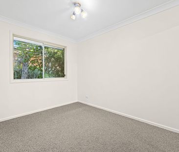 Sensational Sunshine - Photo 3