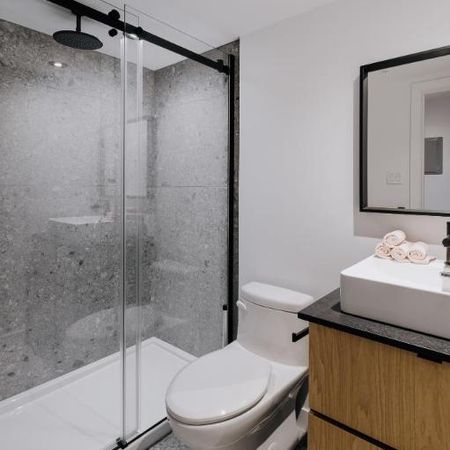 Loft entièrement meublé à louer Saint-Jean-Baptiste juillet 2026 - Photo 3