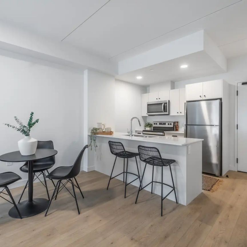 The Bridgwater - 250 Centre Street — Suite C - Photo 1