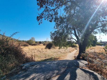 Piso de alquiler en Calle del Picazo, 17b, Hoyo de Manzanares - Photo 5