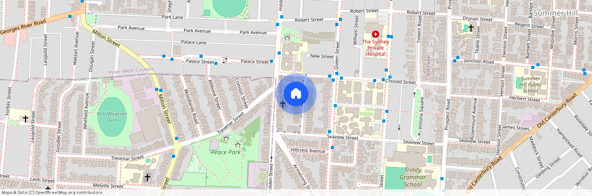 19 Farleigh Street, Ashfield, NSW 2131