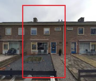 Maison mitoyenne Parklaan 36, Nieuw-Buinen - À louer - Photo 1