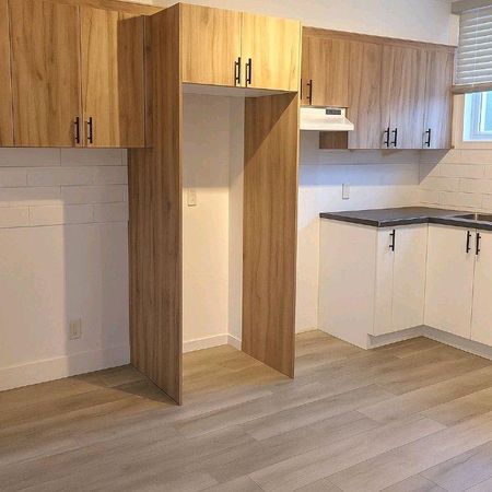 grand 3,5 +1 piece 8x9,RÉNOVÉ 3PLEX VIEUX-LONGUEUIL - Photo 3