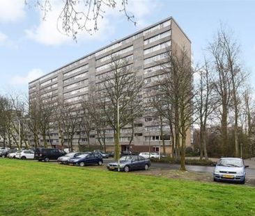 Jan Campertlaan 2624 Delft - Foto 3