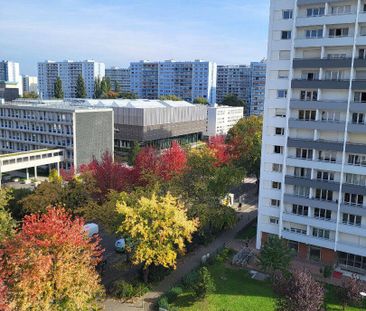 Appartement 1 pièce à louer - Photo 2