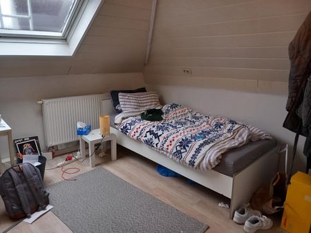 kamer 4 : shower/toilet private for erasmus students - Leiekaai 22 - Photo 3