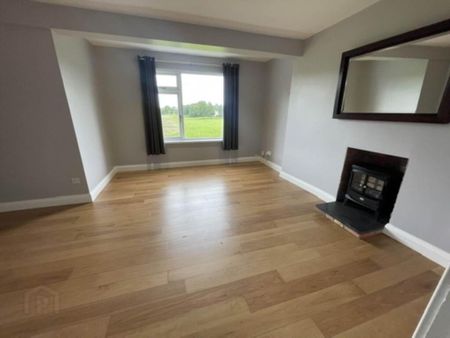 40b Selshion Parade, Portadown, Craigavon, BT62 4AX - Photo 3