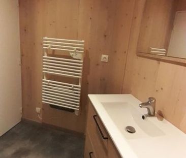 Location Appartement 1 pièce Meublé 30m² DAMMARTIN EN GOELE 77230 - Photo 5
