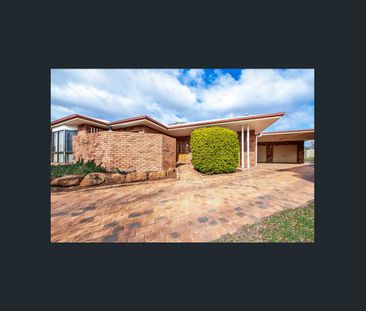 The Size Will Surprise!! - Photo 5