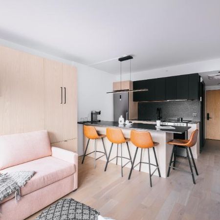 Loft entièrement meublé à louer Saint-Jean-Baptiste septembre 2026 - Photo 4