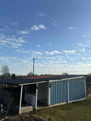 Skärlöta vibo, Norrköping - Foto 1