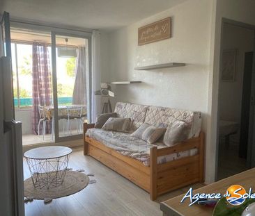 Location Appartement 2 pièces 22m² LE BARCARES 66420 - Photo 3