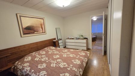 Körsbärsstigen, Luleå - Photo 5