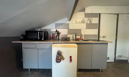 Location Appartement 1 pièce LIMOGES (87000) - Photo 3
