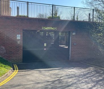 IVES HOUSE – ERCOLANI AVENUE - Photo 5