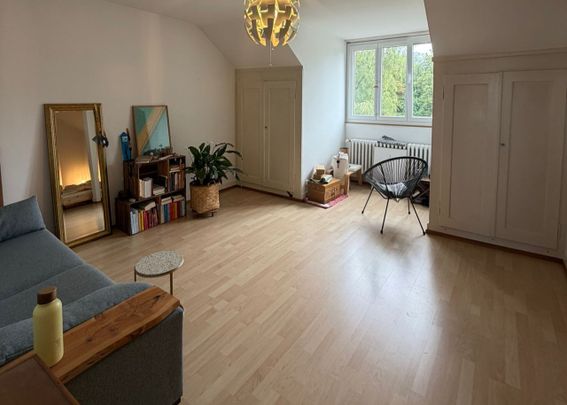 11/2 ROOM APARTMENT IN BERN - FISCHERMÄTTELI, FURNISHED, TEMPORARY - Foto 1