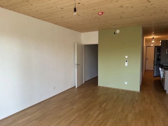 120 Meter zur U1 Oberlaa- Sonnige, barrierefreie südseitige Wohnung- inkl. Küche - Foto 1