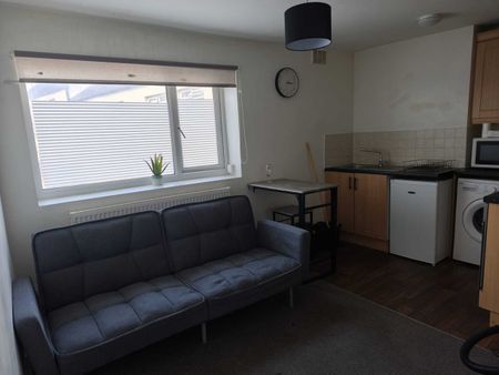 1 Bed Flat, City Road, S2 - Photo 5