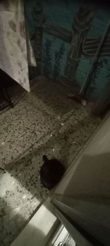 Studio/Γκαρσονιέρα για ενοικίαση Αγία Παρασκευή (Κομοτηνή) - Φωτογραφία 5