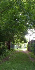 Charmant 3 ½ au 2e étage – Rosemont | Métro Joliette | Animaux acceptés 🐾 - Photo 4