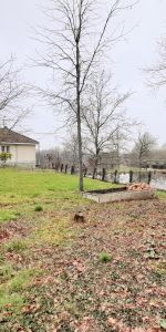 Location Maison 4 pièces 86m² ST JUST LE MARTEL 87590 - Photo 4