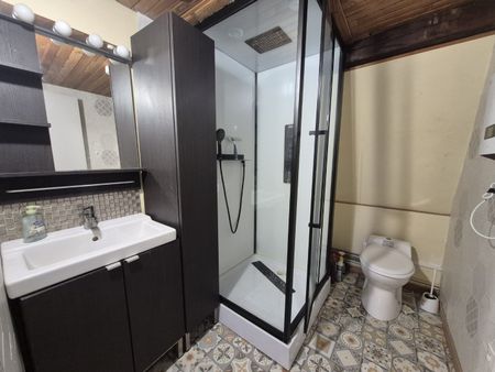 Location Appartement 2 pièces 37m² SECLIN 59113 - Photo 3