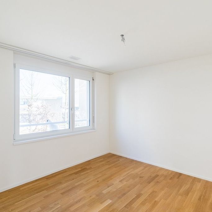Schöne 3.5 Zimmerwohnung mit Sicht auf das Schloss Lenzburg - Foto 1