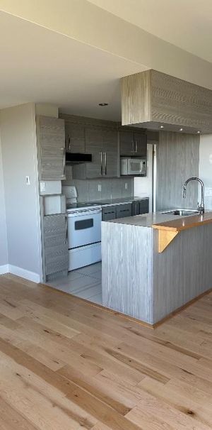Condo à Louer vue sur le fleuve et les plaines d’Abraham - Photo 1