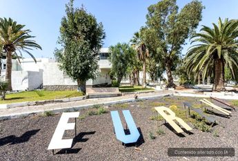 Studio for rent in Costa del Silencio