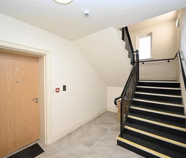 Apt 4 11 Mill Valley Gardens, Belfast, BT14 8FA - Photo 5