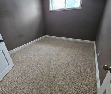 397 Terry Drive #Lower - Photo 3