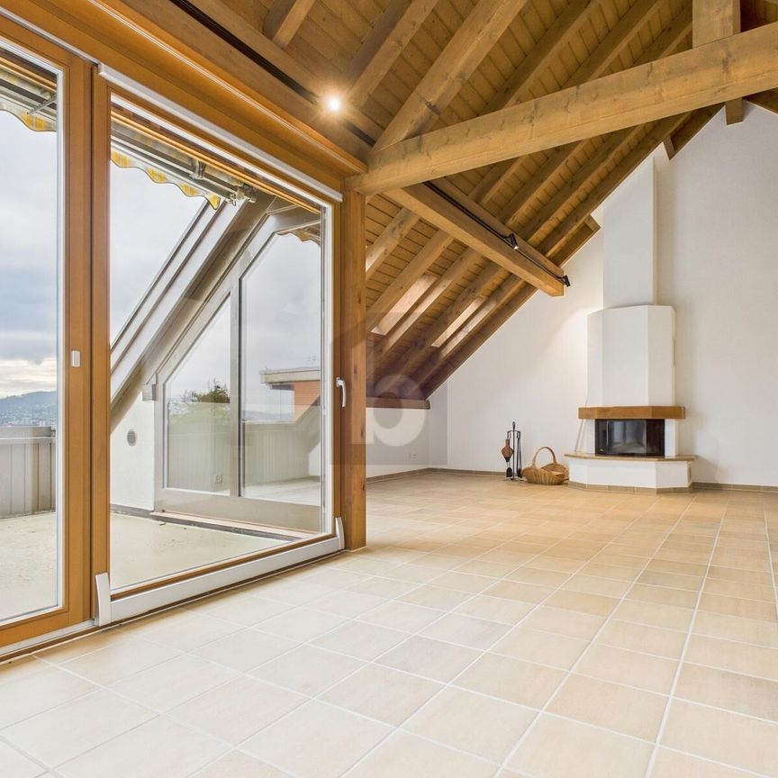 FRESHLY RENOVATED, WITH VIEW OVER THE LIMMATTAL VALLEY - Photo 1