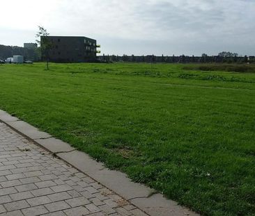 Boomvalk 19 - Photo 2