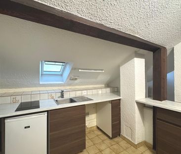 Location Appartement 1 pièce 22m² GRENOBLE 38100 - Photo 3