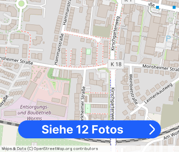 2-Zimmer-Wohnung mit Balkon in Worms mieten - Foto 1