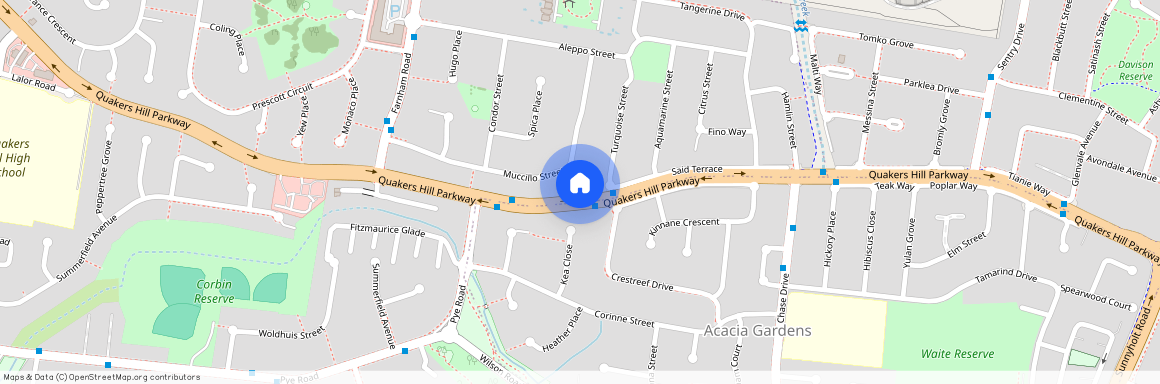 46 Muccillo Street, Quakers Hill NSW 2763