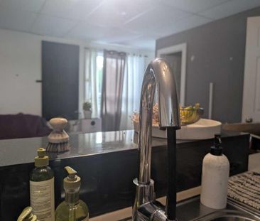 Logement 1 chambre et 1 salle de bain- animaux acceptés - Photo 4