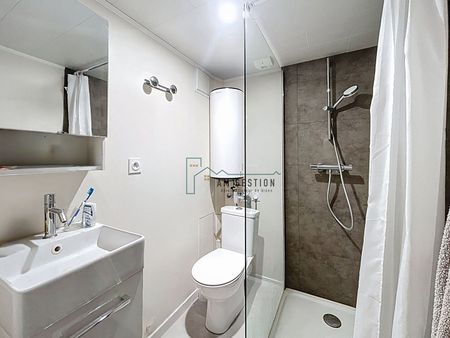 Location Appartement 1 pièce 20m² - Photo 5