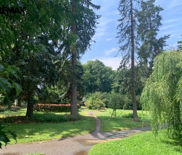 Pronájem bytu 2+kk v osobním vlastnictví 42 m², Rakovník - Photo 5