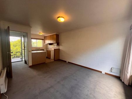 Newly updated 1 bedroom unit in the middle of it all! - Photo 5