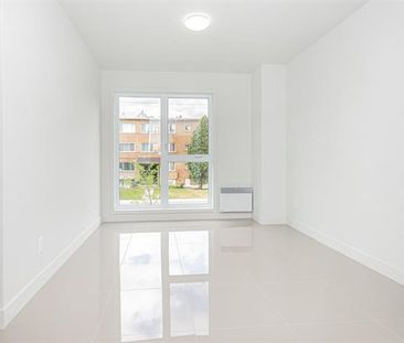 495 Av. Delmar - Photo 6