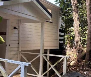 Sunny four-bed house in Wadestown - Photo 4