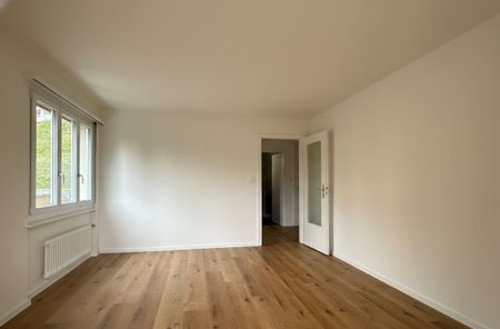 2.5 Zimmer, EG - Photo 5