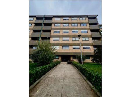 Rua de Afonso Baldaia, Porto, Braga 4150 - Photo 4