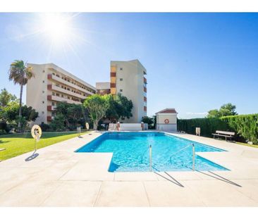 Alquiler de piso en Urbanizacion Residencial Las Adelfas - Photo 5