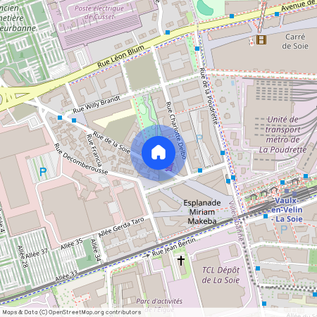 39 Rue de la soie, 69100, Villeurbanne