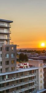 Penthouse À LOUER Spacieux 4 1/2 sur le Plateau de Ste-Foy - Photo 3